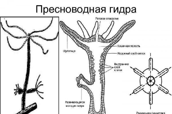 Кракен москва наркотики