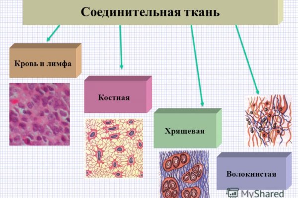 Кракен современный даркнет маркетплейс